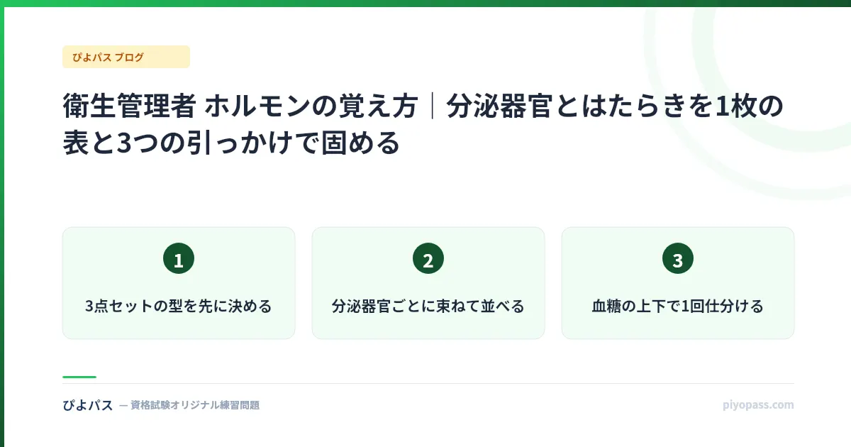 衛生管理者 ホルモンの覚え方|分泌器官とはたらきを1枚の表と3つの引っかけで固める