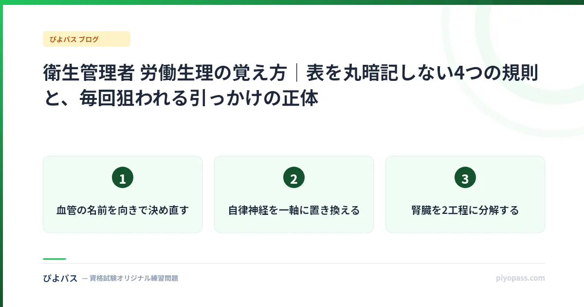 衛生管理者 労働生理の覚え方|表を丸暗記しない4つの規則と、毎回狙われる引っかけの正体