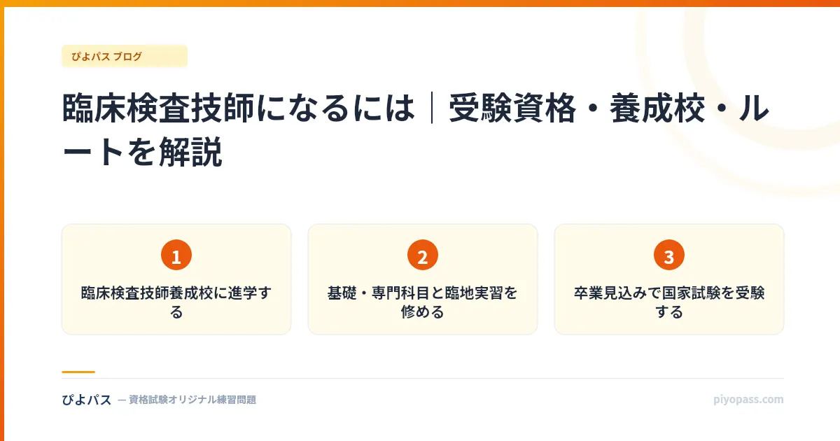 臨床検査技師になるには｜受験資格・養成校・ルートを解説