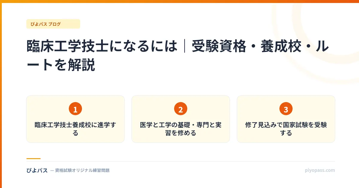 臨床工学技士になるには|受験資格・養成校・ルートを解説