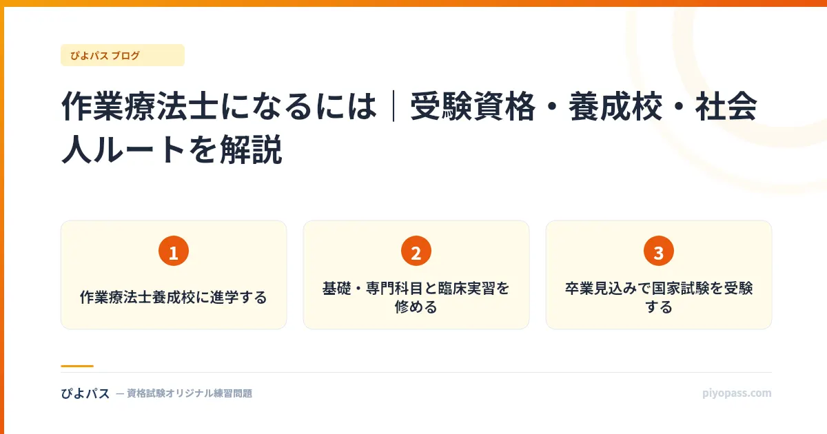 作業療法士になるには|受験資格・養成校・社会人ルートを解説