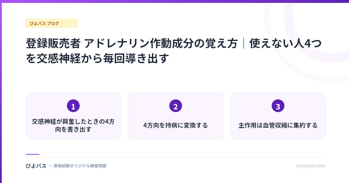 登録販売者 アドレナリン作動成分の覚え方｜使えない人4つを交感神経から毎回導き出す