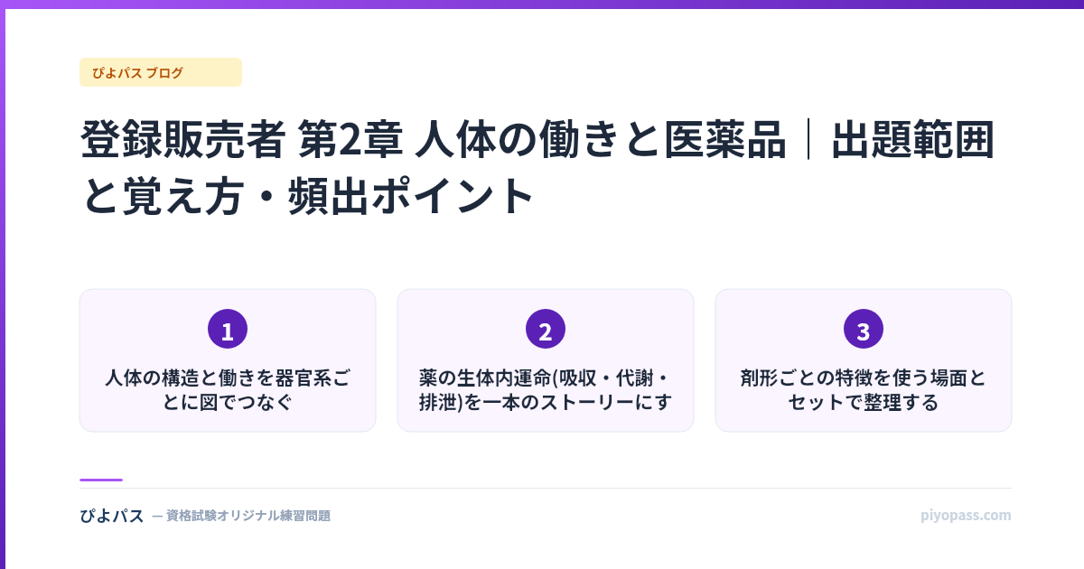 登録販売者 第2章 人体の働きと医薬品｜出題範囲と覚え方・頻出ポイント