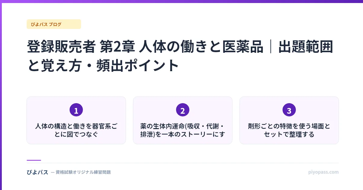 登録販売者 第2章 人体の働きと医薬品|出題範囲と覚え方・頻出ポイント